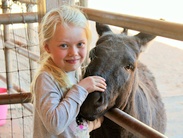 Young girl smiling at the camera with donkey