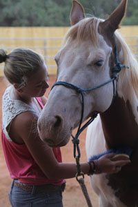 Horse for Healing Sedona, AZ
