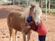 Young boy hugging a small horse